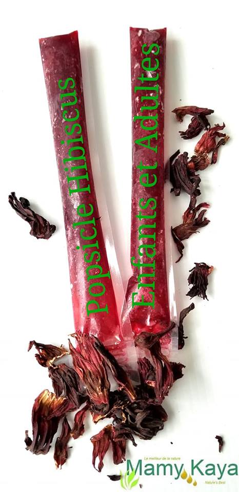 Popsicle d'Hibiscus
